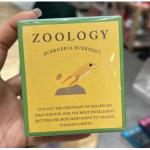 zoology 动物造型巧克力 Z-3 buergeria buergeri溪树蛙属 1个入（任意路线可发）（缺货退款）