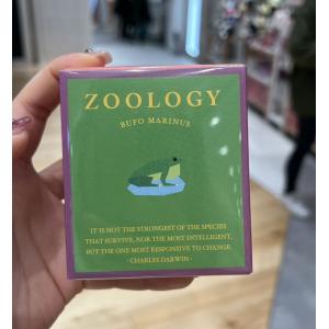 zoology 动物造型巧克力 Z-3 Bufo marinus海蟾蜍 1个入（任意路线可发）（缺货退款）