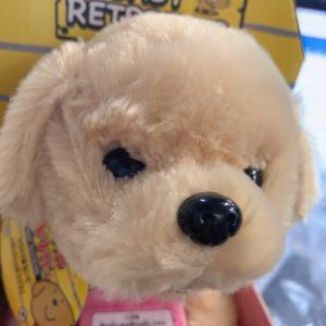 玩具：金毛小狗毛绒电动儿童玩具 会走路会卧倒会叫 单3干电池款