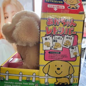 玩具：金毛小狗毛绒电动儿童玩具 会走路会卧倒会叫 单3干电池款