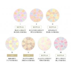 代购：雅莉格丝ELEGANCE E大饼家庭组27g的<替换装>