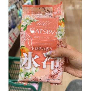 日本GATSBY杰士派 止汗湿巾 身...